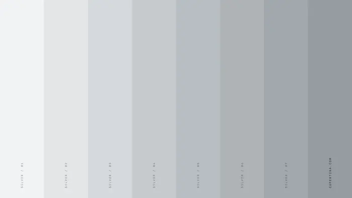 Silver — iMac 24