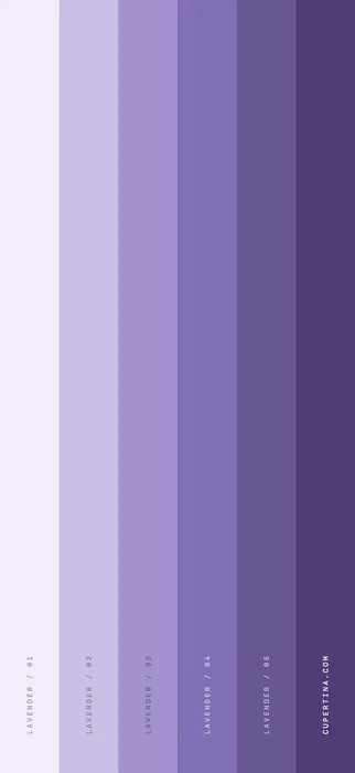Lavender