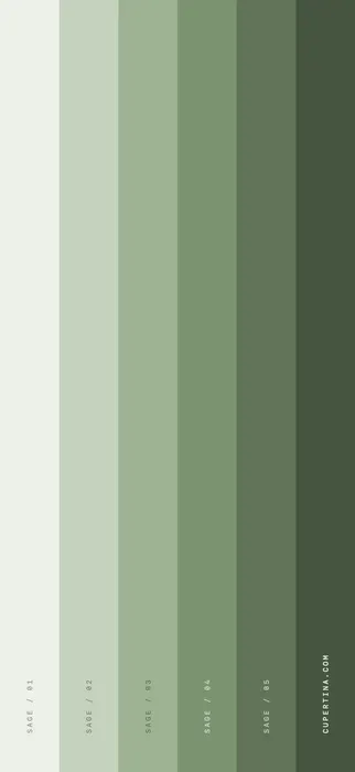 Sage — iPhone 17