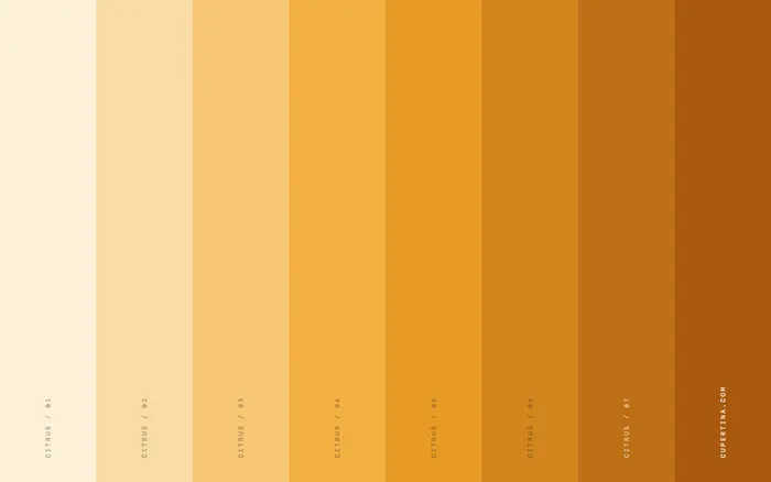 Citrus — MacBook Neo