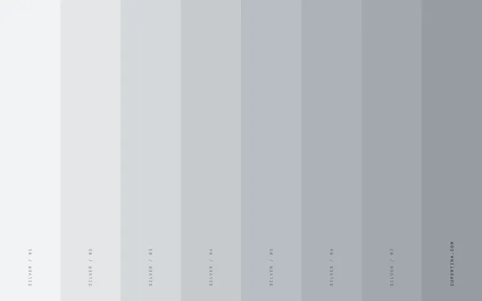 Silver — MacBook Neo